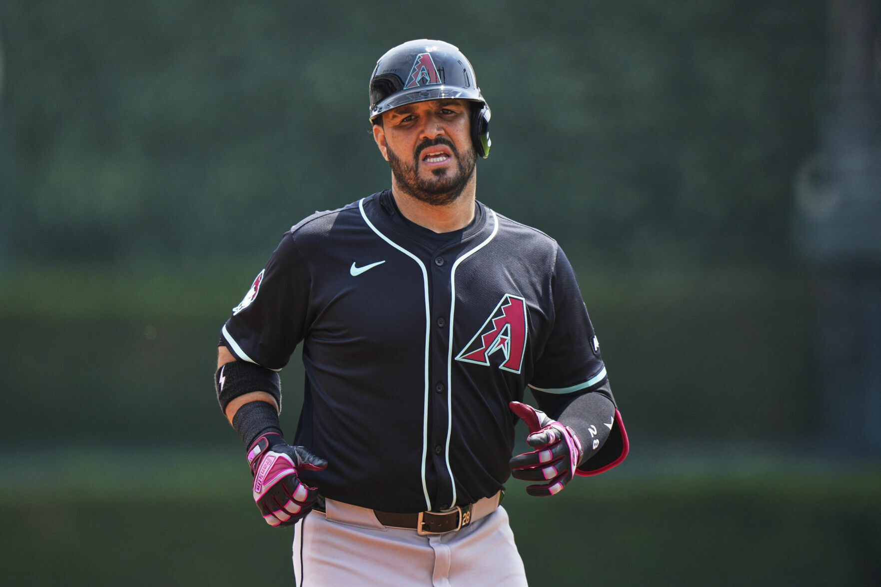 Diamondbacks Tigers Baseball